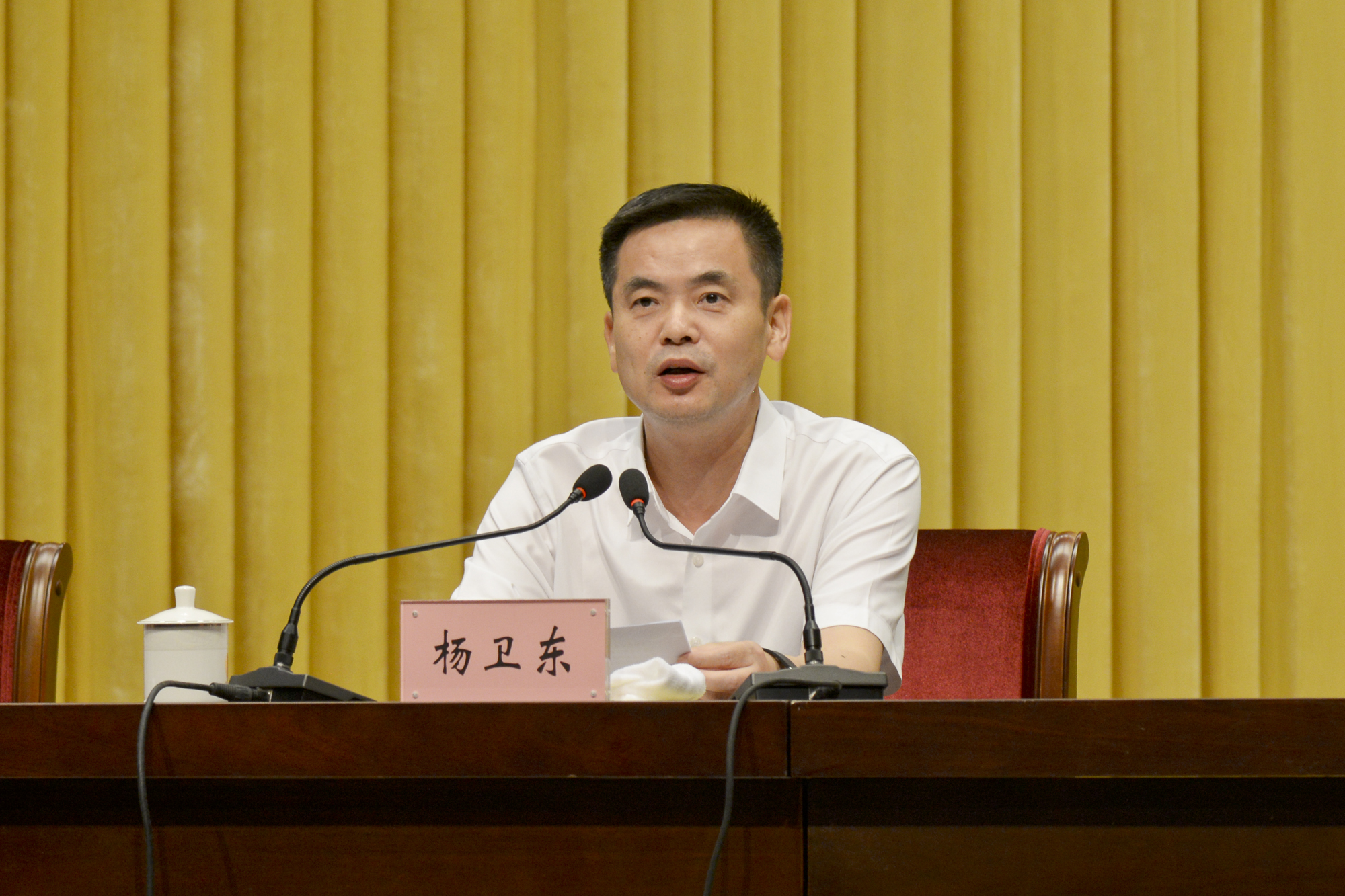 ▲區(qū)委書記楊衛(wèi)東致詞